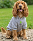 Dog’s Hoodie