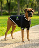 Dog’s Varsity Jacket