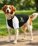 Dog’s Raglan T-Shirt